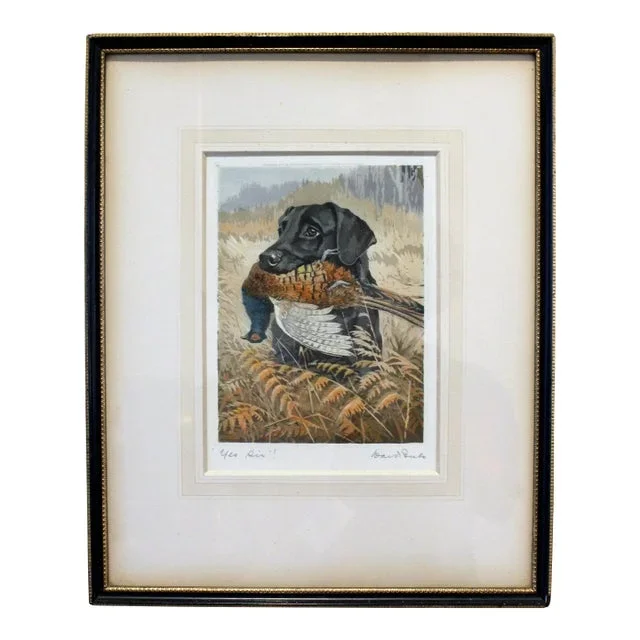 1934 English Aquatint of a Labrador With Pheasant by R. Ward Binks