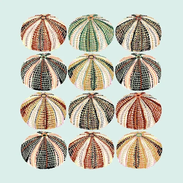 “Heatwave Urchin (Seafoam Blue)” Contemporary Giclee Print by Sarah Gordon