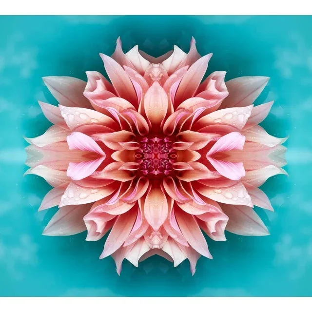 “No. 242” Contemporary Original Op Art Botanical Limited Edition Photograph Print by Erin Derby
