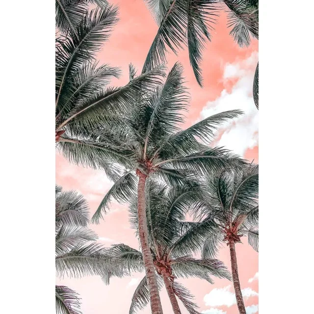 “Palms” 48×32 Contemporary, Fine Art Photography by Kristin Hart