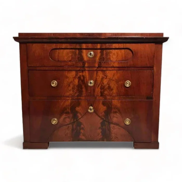Antique Danish Furniture- Chest of Drawers, 1820