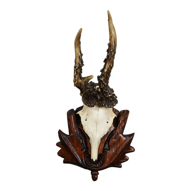 Antique Red Deer Trophy on Carved Plaque, Germany 1940s