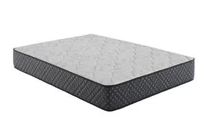 Aspen 12.25″ Eastern King Firm Mattress White