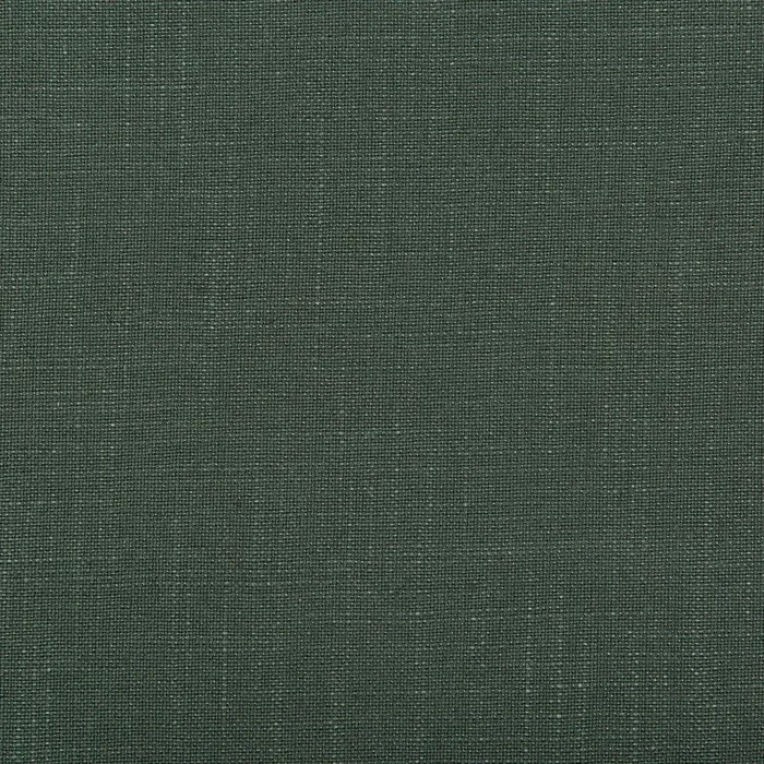 Aura – Forest