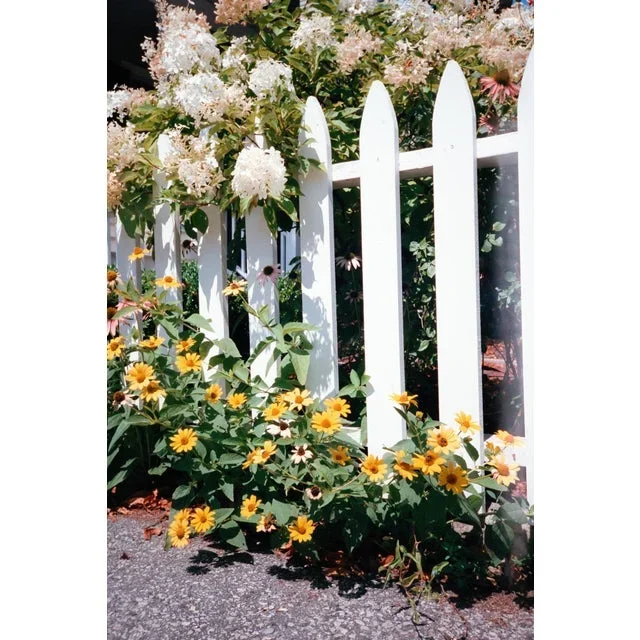 Contemporary Minimalist ‘Fence and Flowers’, Large 24 X 36″ Fine Art Photography Print