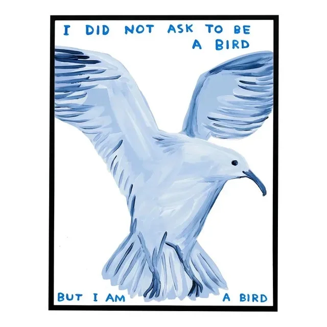 David Shrigley, I Did Not Ask to Be a Bird, 2021, Lithograph Poster, Framed