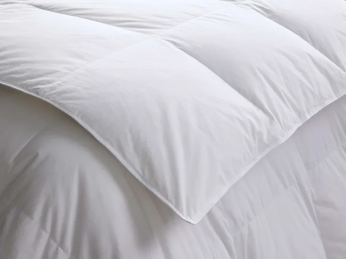 Down Duvet Twin Insert