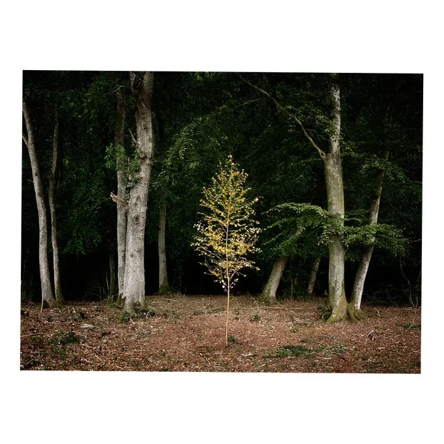 Ellie Davies, Smoke and Mirrors 1, Print
