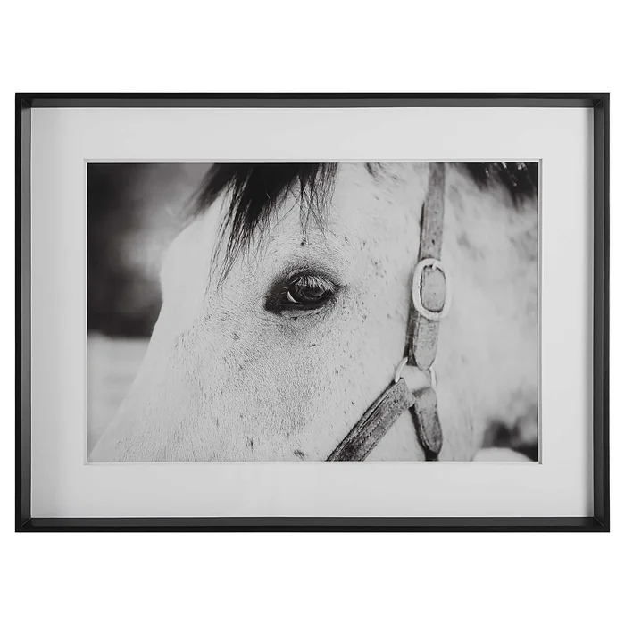 Eye of the Beholder Framed Print 41463 by Uttermost at Old Brick Furniture & Mattress Co.
