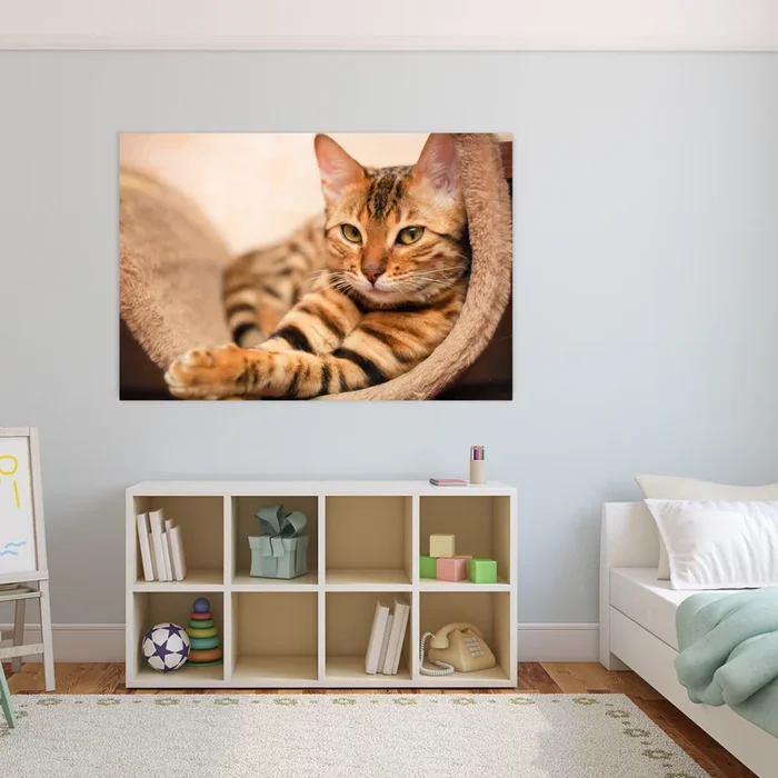 KITTEN Bengal Cat Wall Art Print