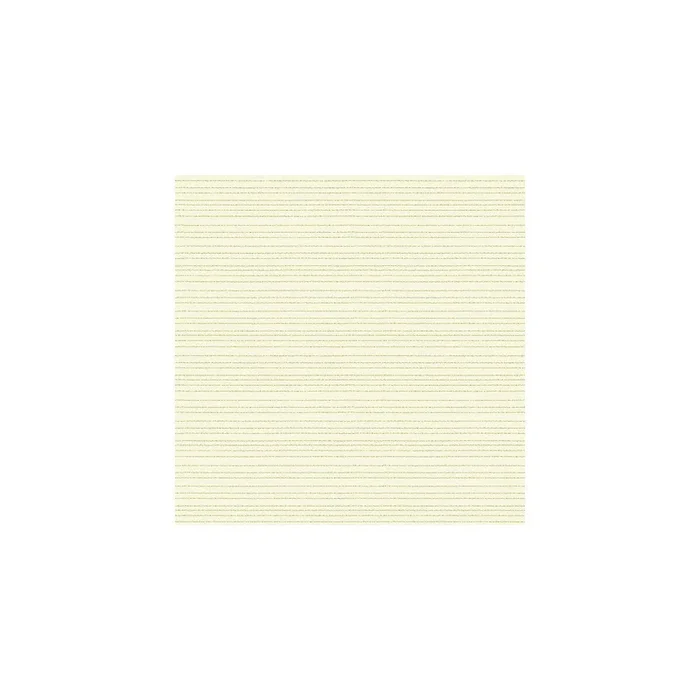 Kravet Basics – 3796-1