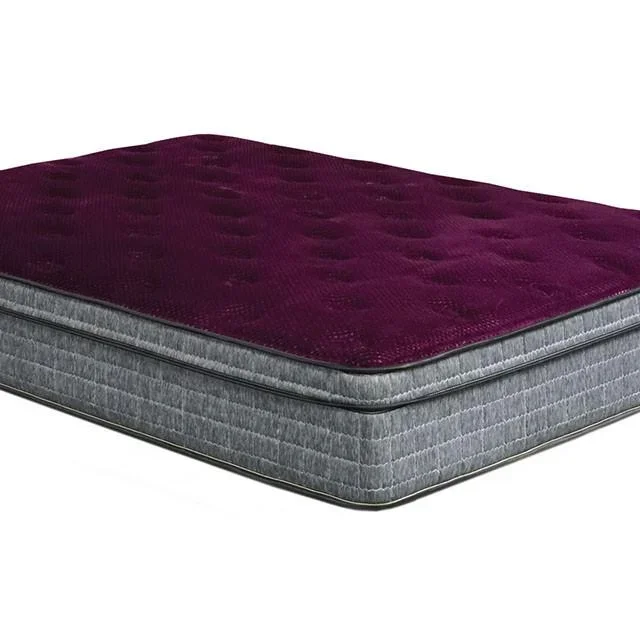Minnetonka Purple 13″ Euro Pillow Top Mattress, Queen