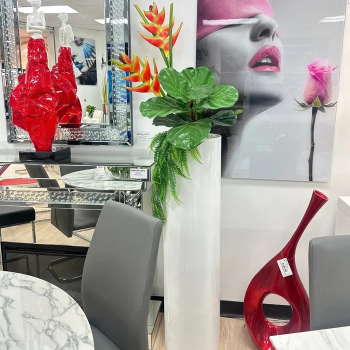 Ornamental Tropical Arrangement Plant