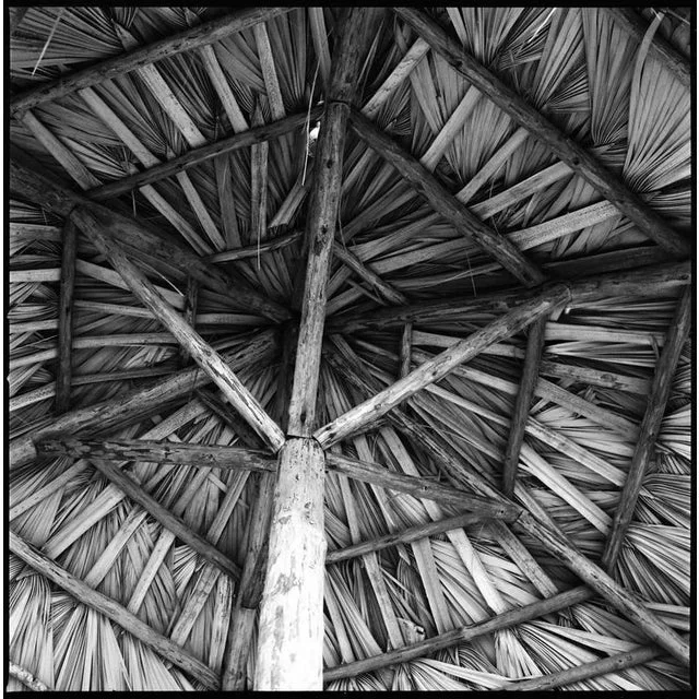 Paul Cooklin, Parasol, Photograph