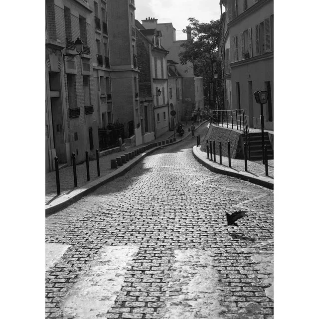 Paul Cooklin, Pigeon Crossing, Photograph