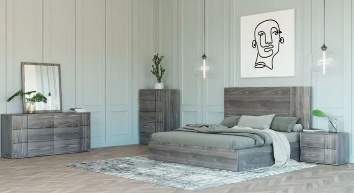 Queen Nova Domus Asus Italian Modern Elm Grey Bedroom Set