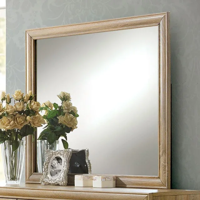 Renee Mirror