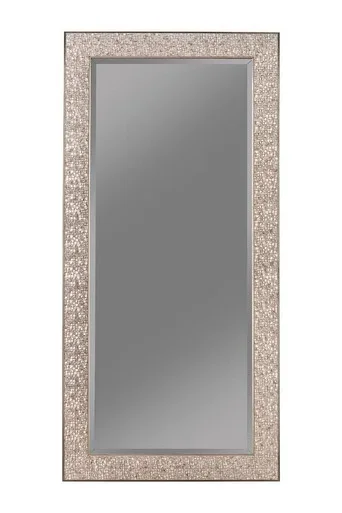 Rollins 32 x 66 Inch Rectangular Floor Mirror Silver / CS-901997