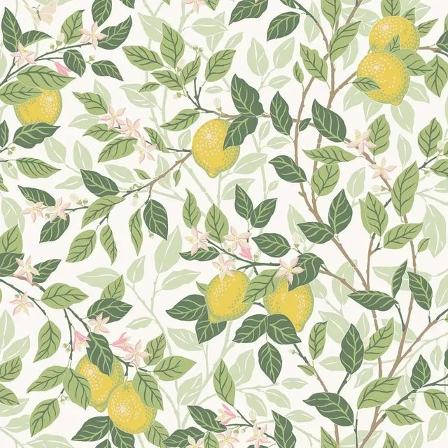 SAMPLE – Boråstapeter Citronträd Wallpaper In Ivory And Leaf