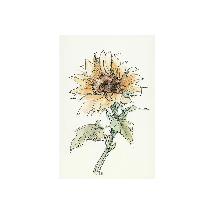 Sunflower II 101887-S by Mercana at Old Brick Furniture & Mattress Co.
