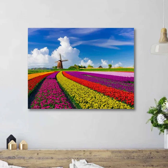 TULIP Field of Colors Modern Wall Art